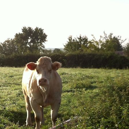 Bed and Breakfast Escale En Charolais Brionnais Saint-Julien-de-Civry Exterior foto