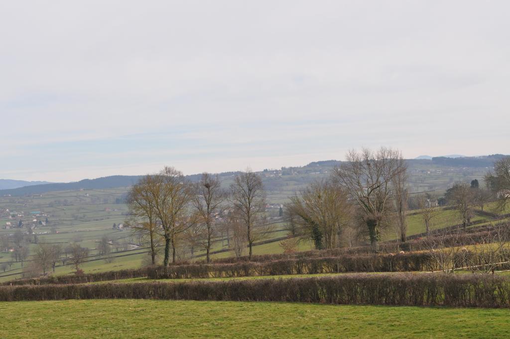 Bed and Breakfast Escale En Charolais Brionnais Saint-Julien-de-Civry Zimmer foto