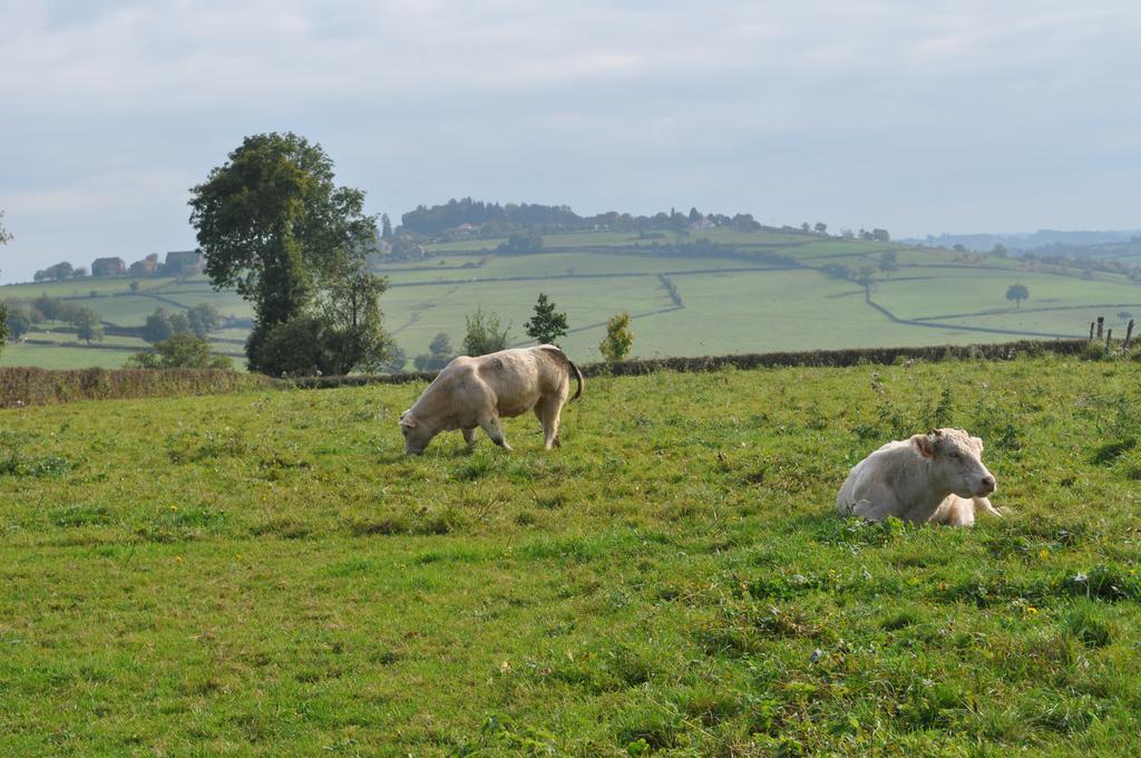 Bed and Breakfast Escale En Charolais Brionnais Saint-Julien-de-Civry Exterior foto